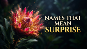 Names That Mean Surprise